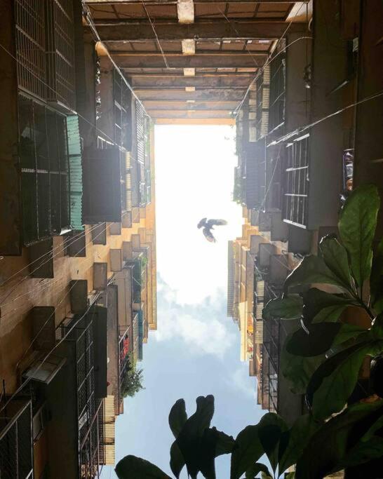 Saigonese Lifestyle - Near Ben Thanh Market 胡志明市 外观 照片